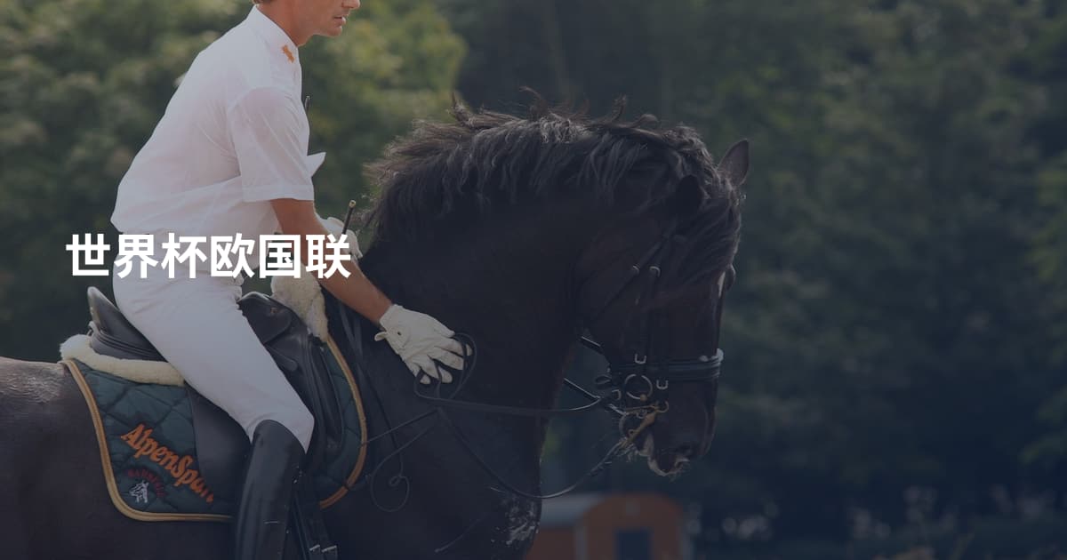 世界杯欧国联