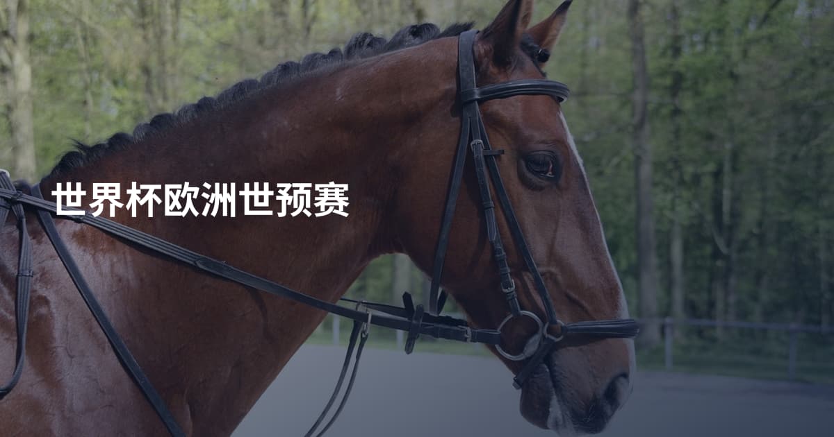 世界杯欧洲世预赛