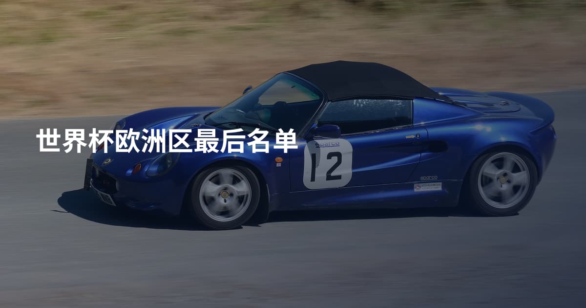 世界杯欧洲区最后名单
