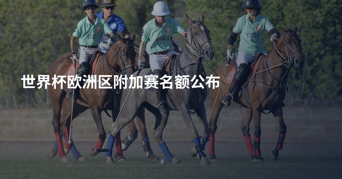 世界杯欧洲区附加赛名额公布