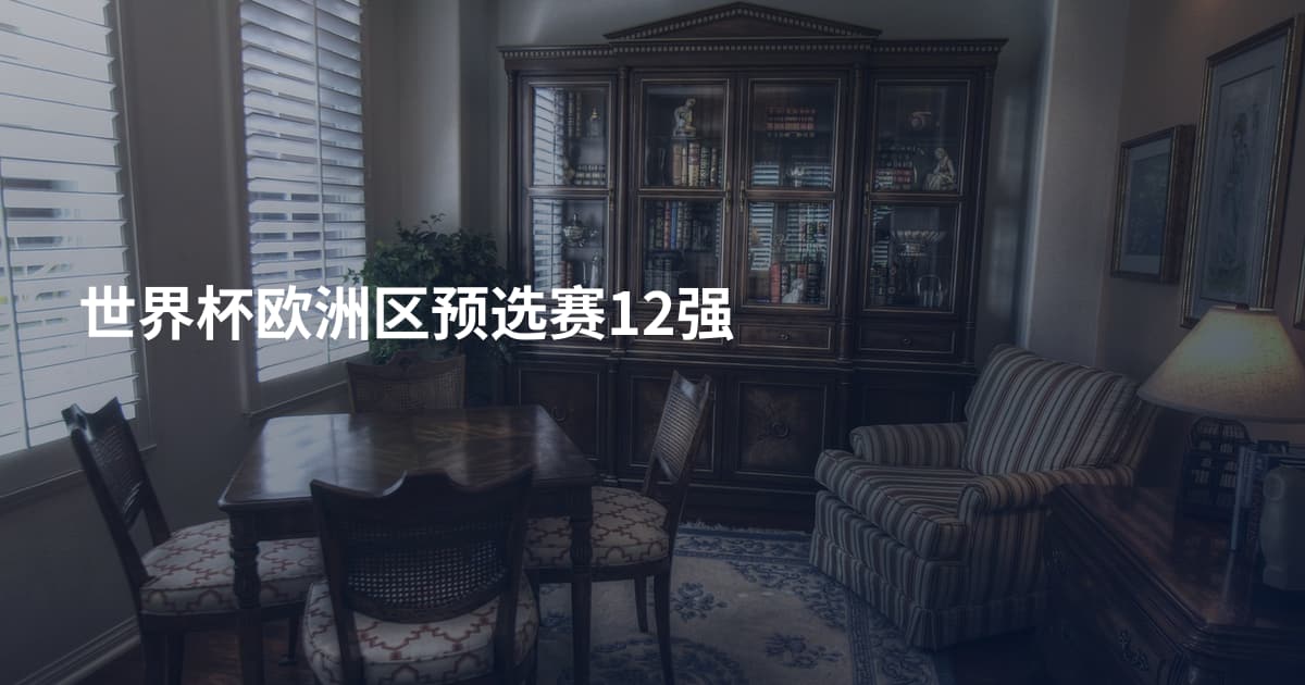 世界杯欧洲区预选赛12强