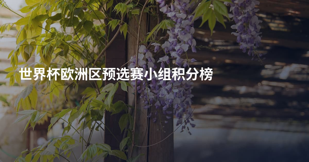 世界杯欧洲区预选赛小组积分榜