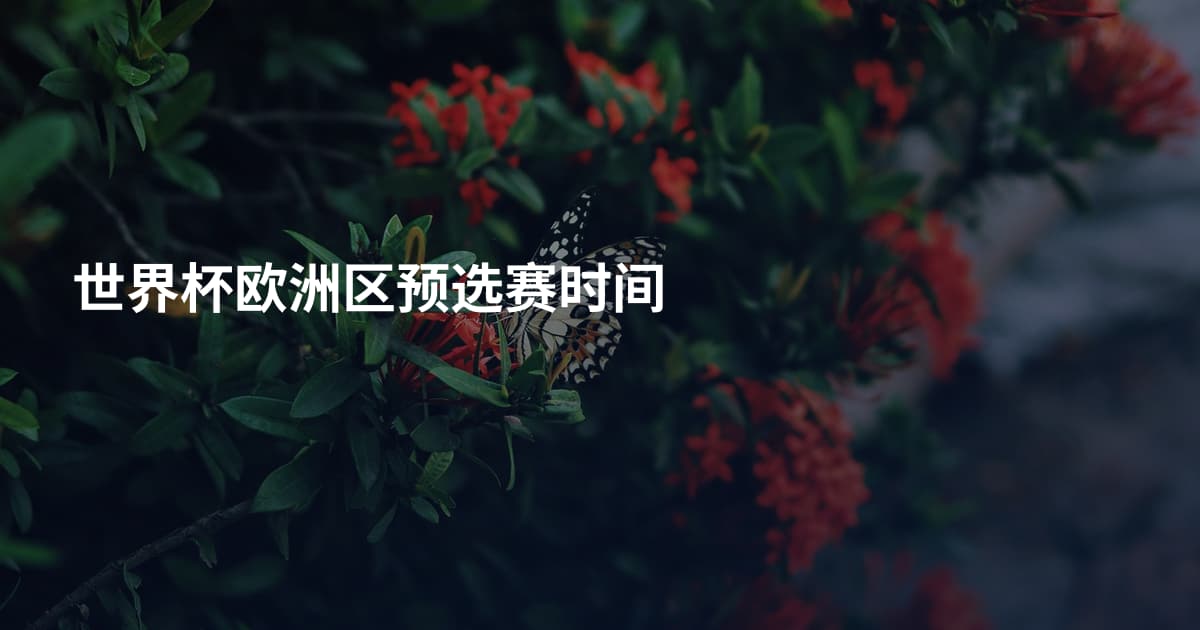 世界杯欧洲区预选赛时间