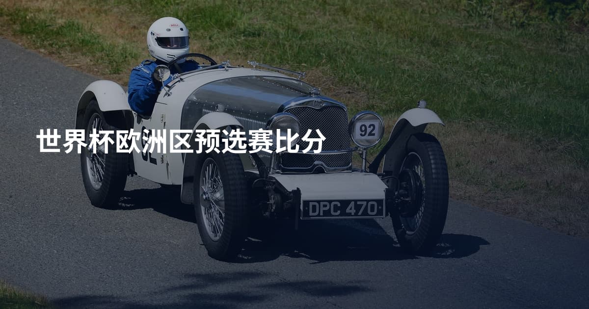 世界杯欧洲区预选赛比分