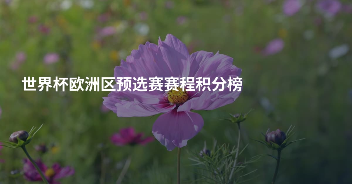 世界杯欧洲区预选赛赛程积分榜