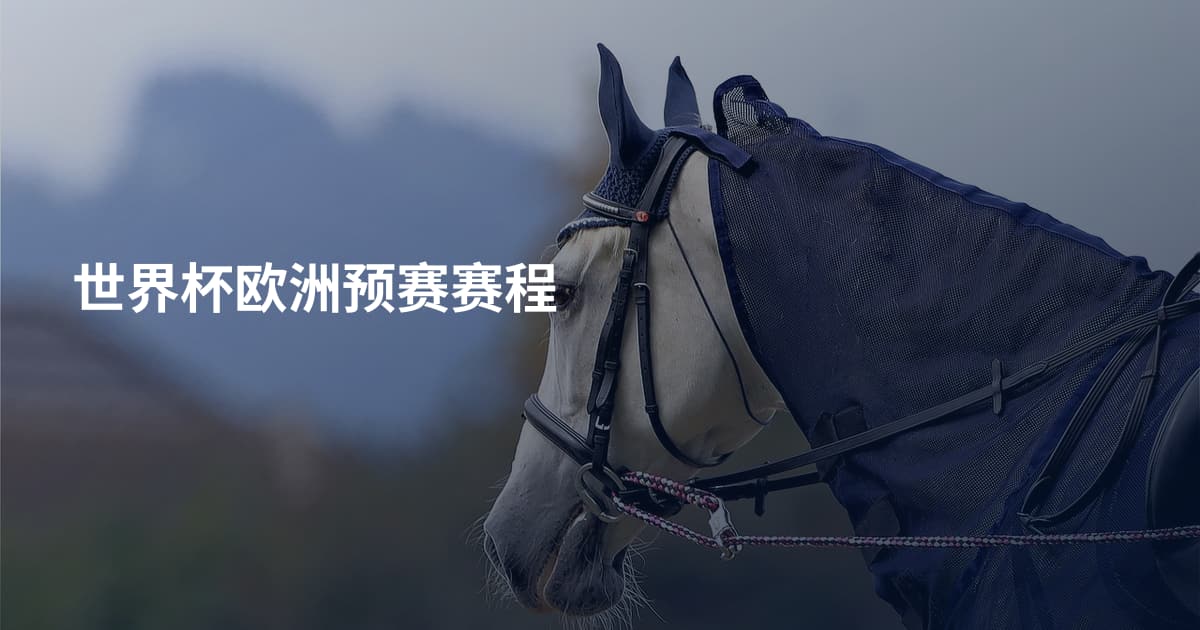 世界杯欧洲预赛赛程