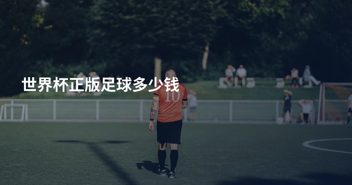 世界杯正版足球多少钱