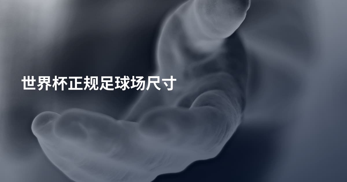 世界杯正规足球场尺寸