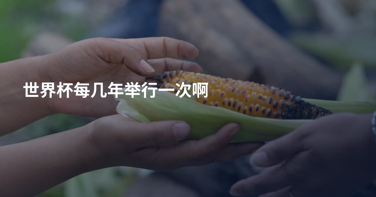 世界杯每几年举行一次啊