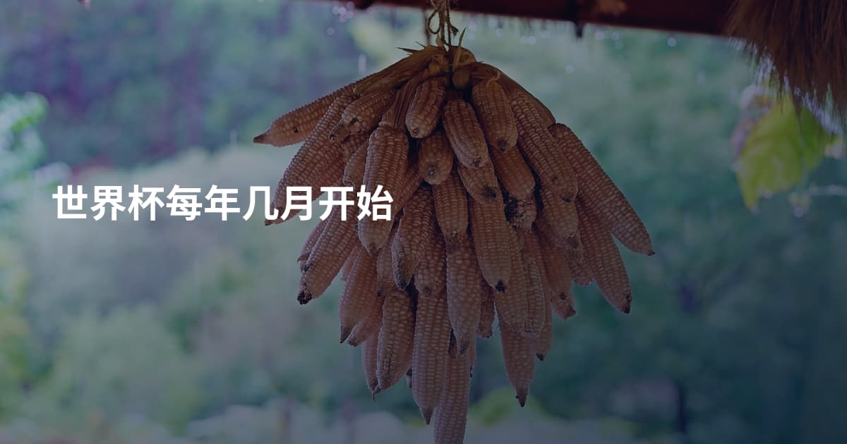 世界杯每年几月开始