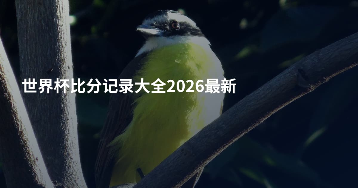 世界杯比分记录大全2026最新