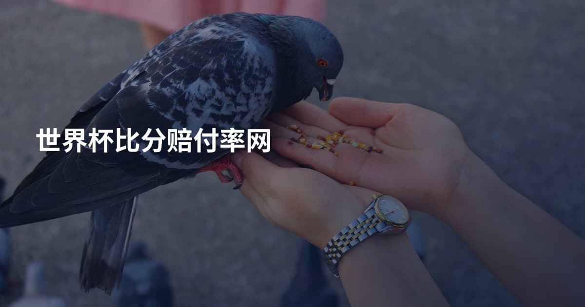 世界杯比分赔付率网