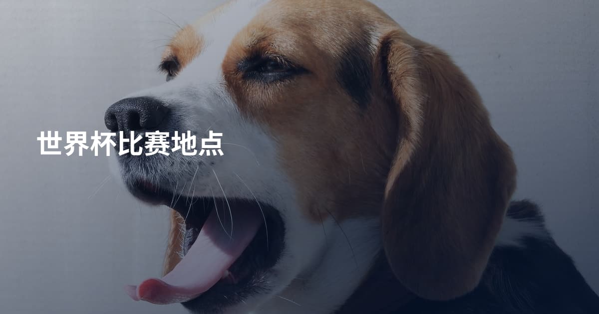 世界杯比赛地点
