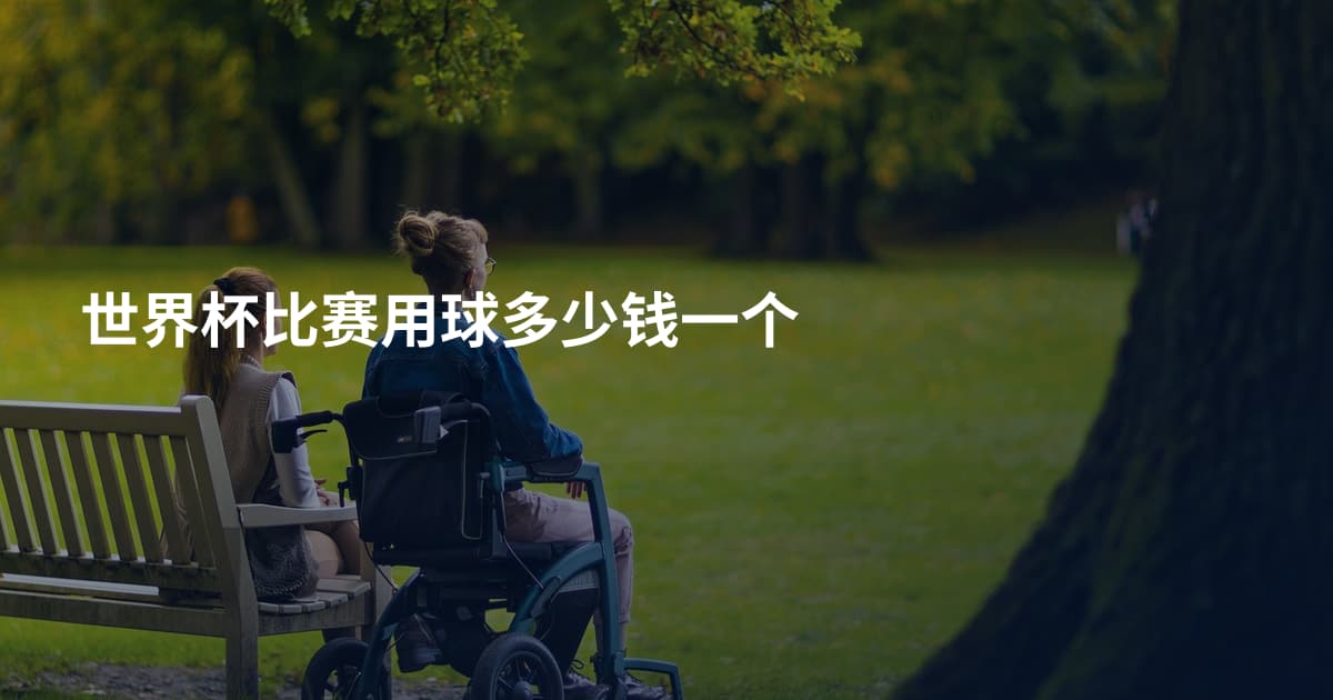 世界杯比赛用球多少钱一个