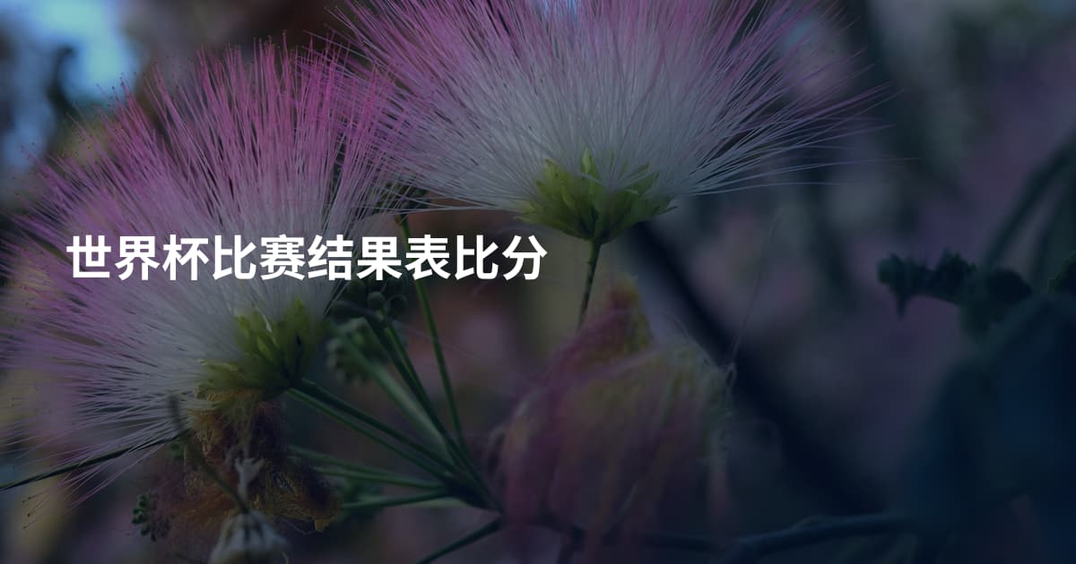 世界杯比赛结果表比分