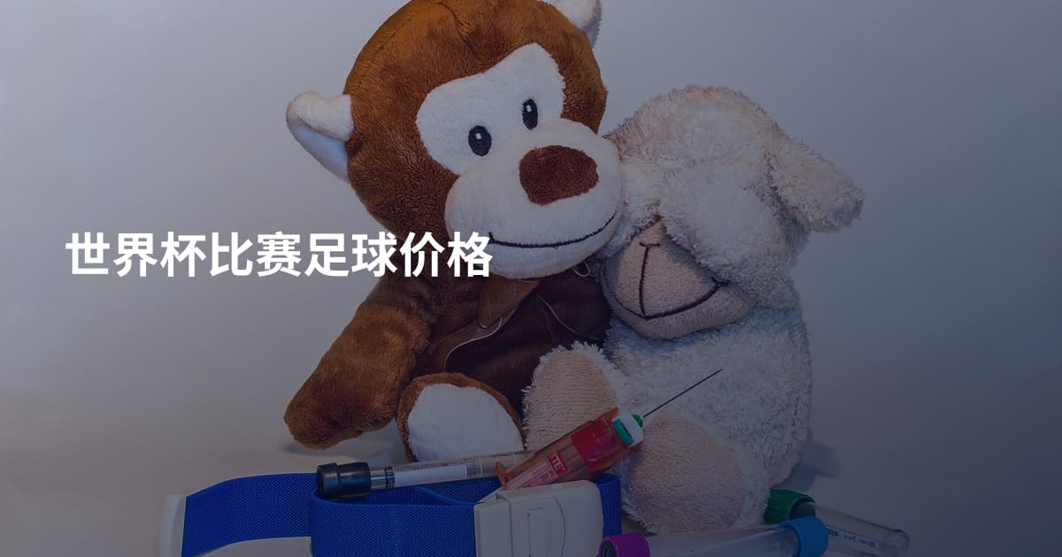 世界杯比赛足球价格