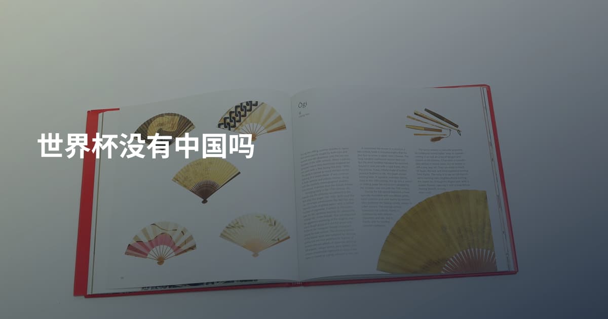 世界杯没有中国吗