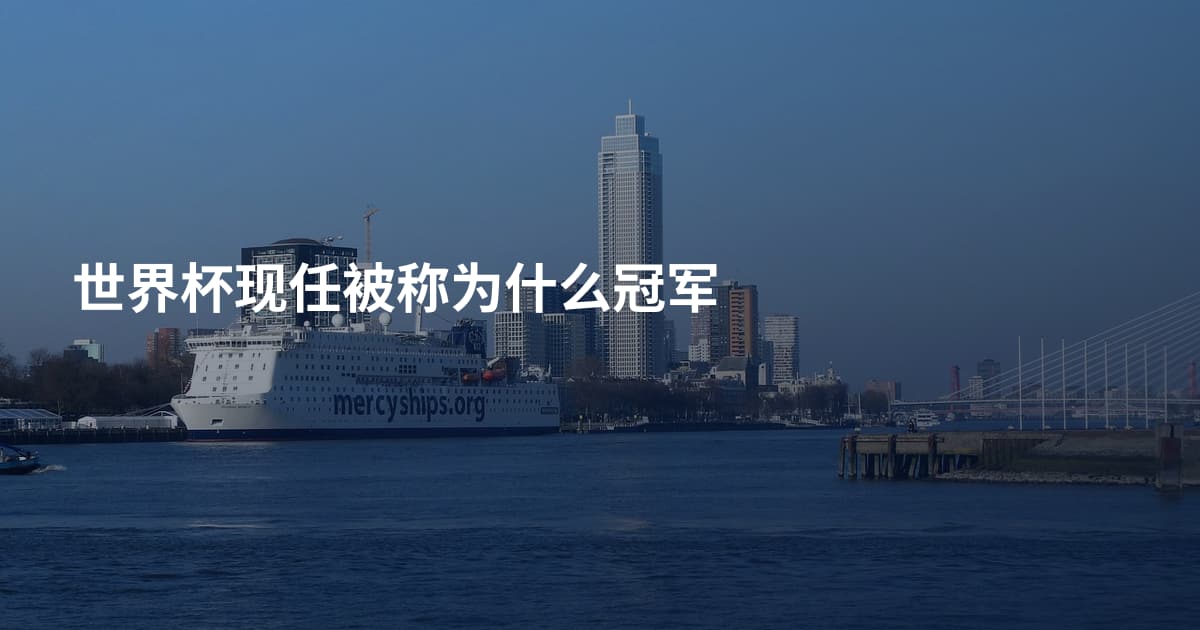 世界杯现任被称为什么冠军