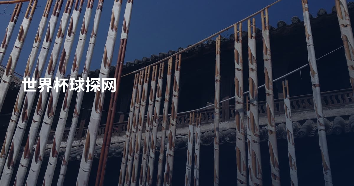 世界杯球探网