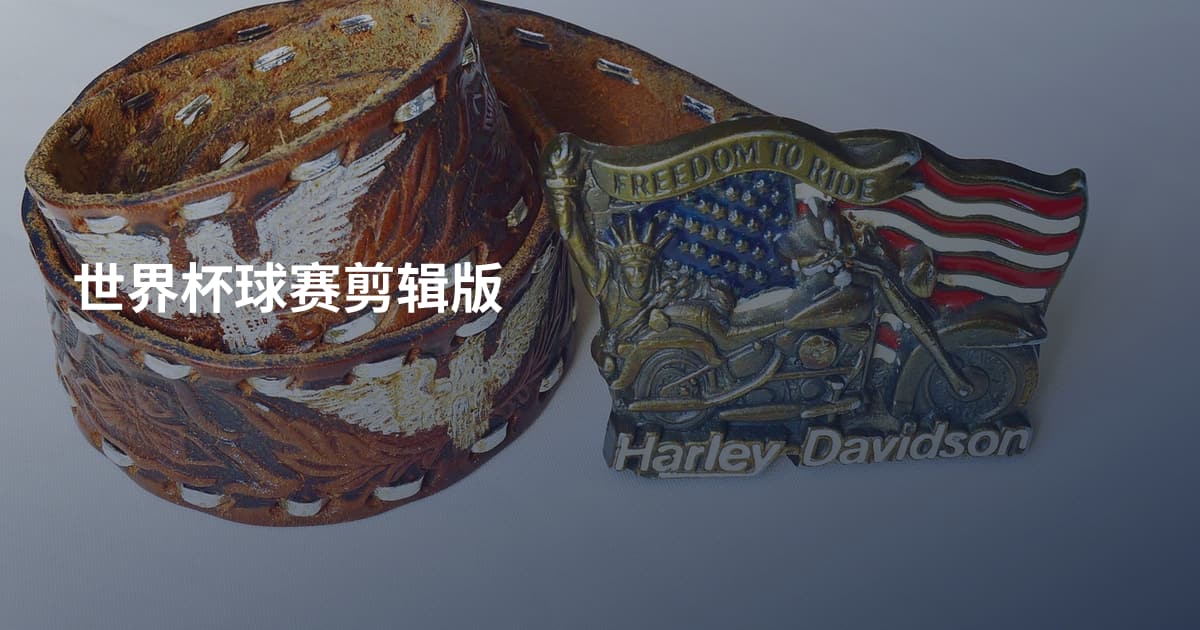 世界杯球赛剪辑版