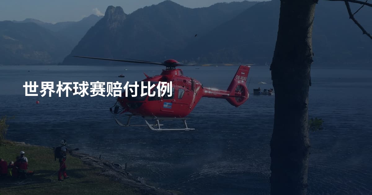 世界杯球赛赔付比例