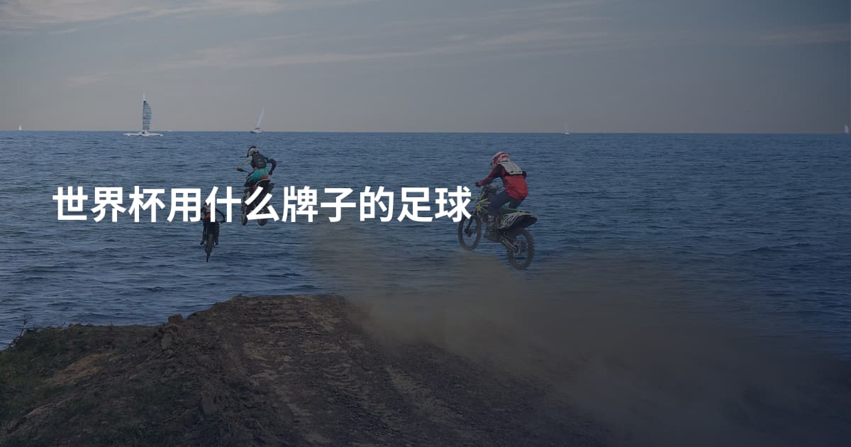 世界杯用什么牌子的足球