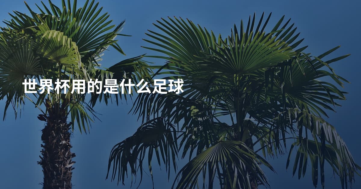 世界杯用的是什么足球