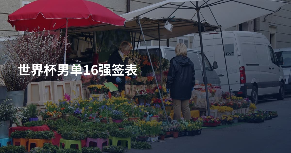 世界杯男单16强签表