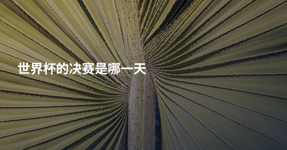 世界杯的决赛是哪一天