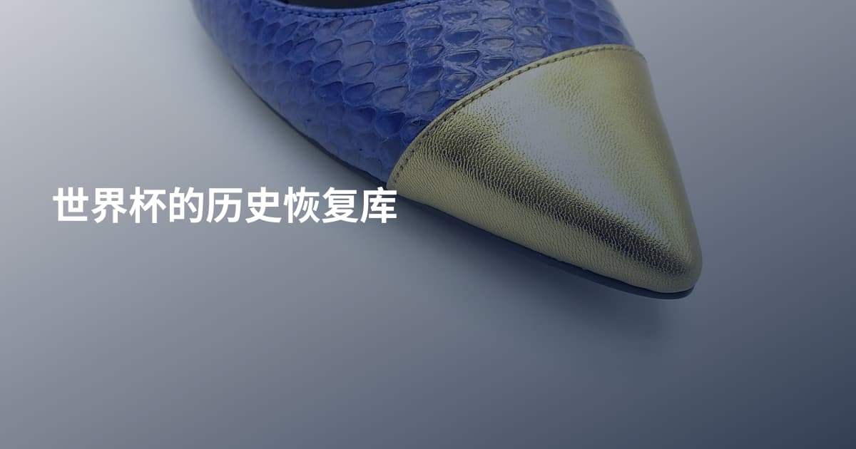 世界杯的历史恢复库