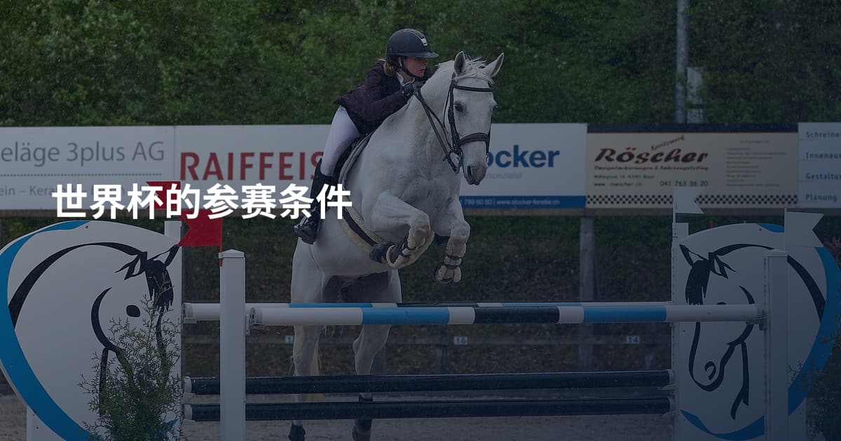 世界杯的参赛条件