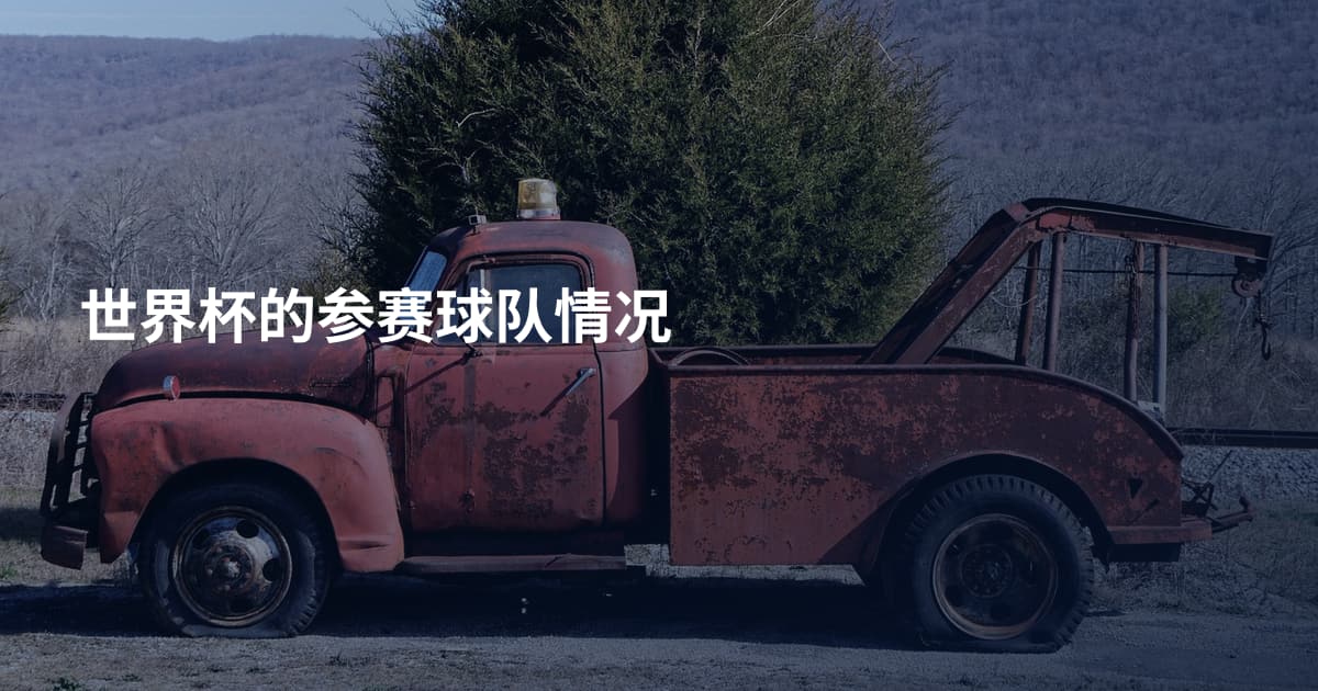 世界杯的参赛球队情况