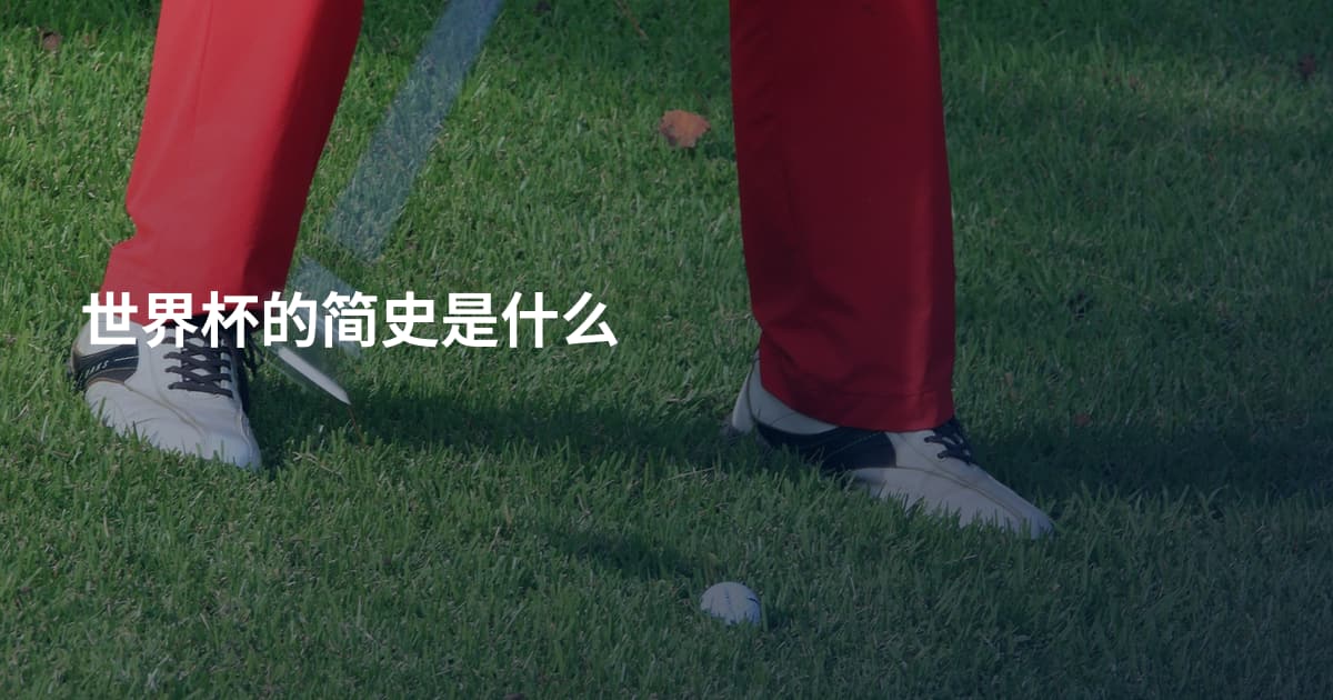 世界杯的简史是什么