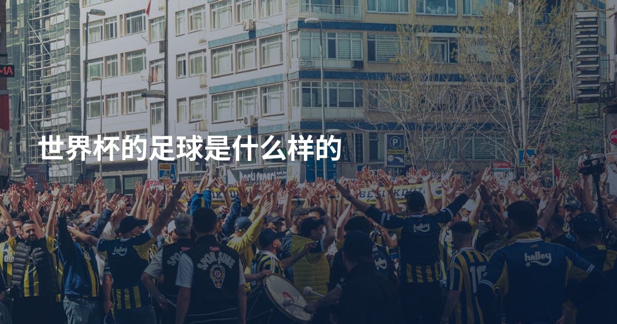 世界杯的足球是什么样的