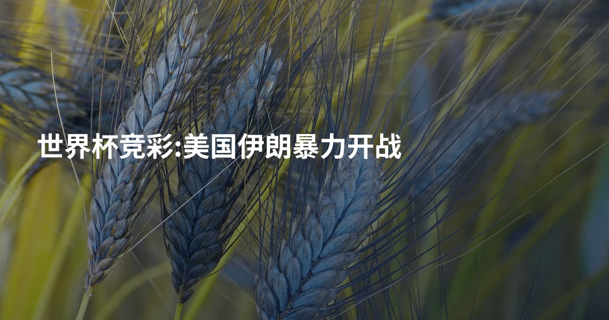 世界杯竞彩:美国伊朗暴力开战