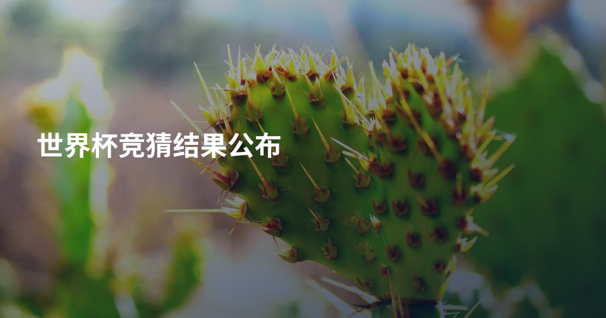 世界杯竞猜结果公布