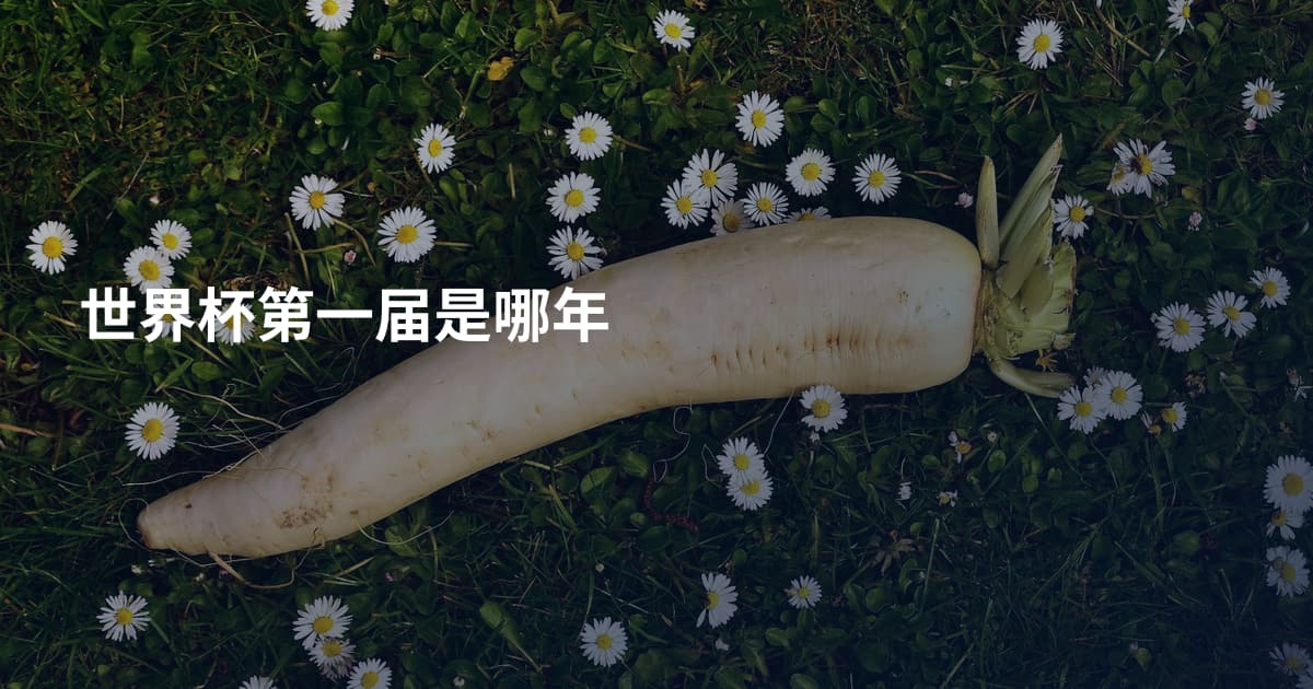 世界杯第一届是哪年