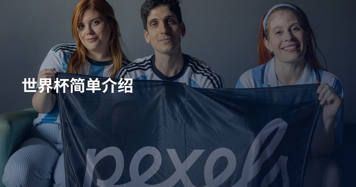 世界杯简单介绍