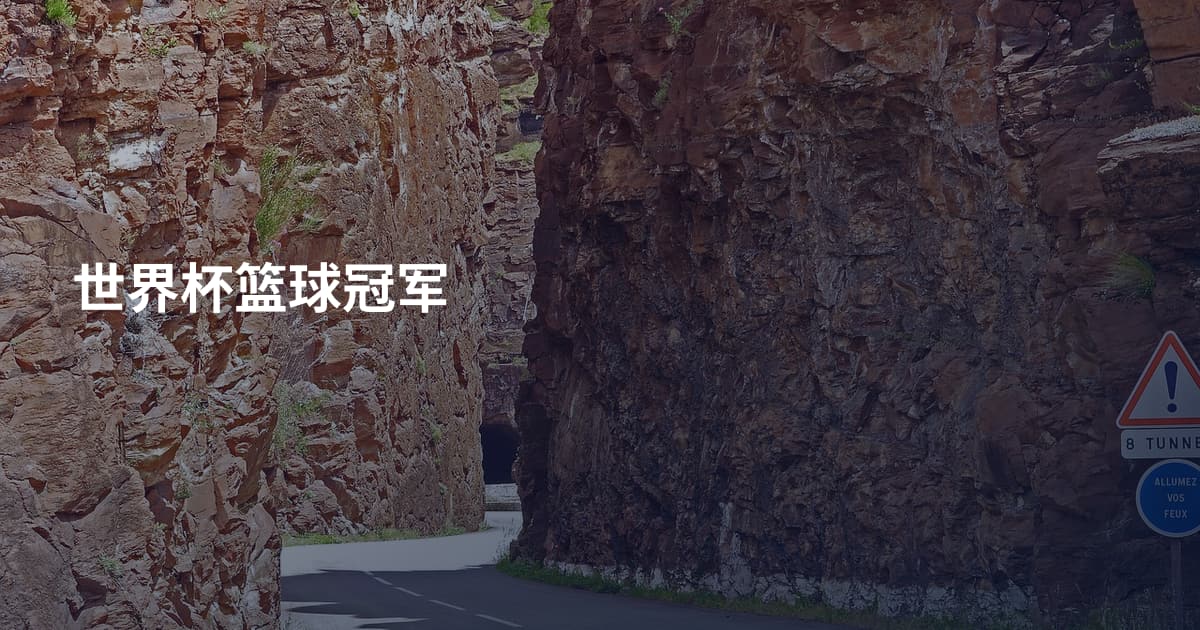 世界杯篮球冠军