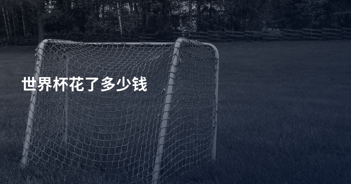 世界杯花了多少钱
