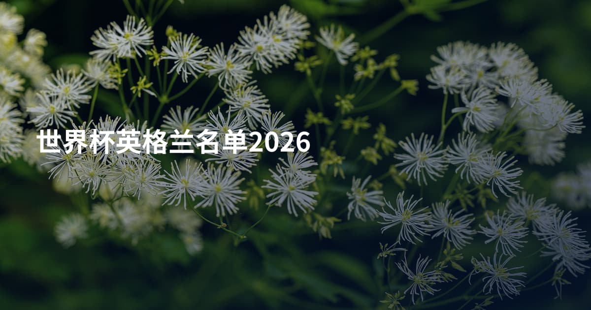 世界杯英格兰名单2026