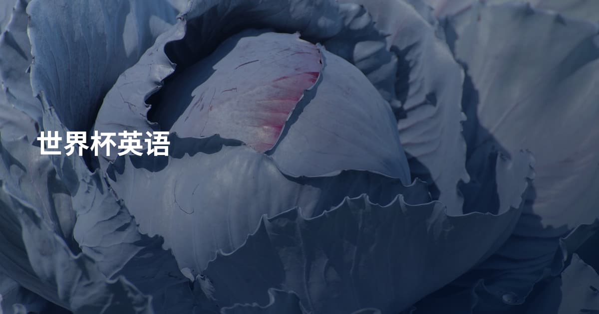世界杯英语