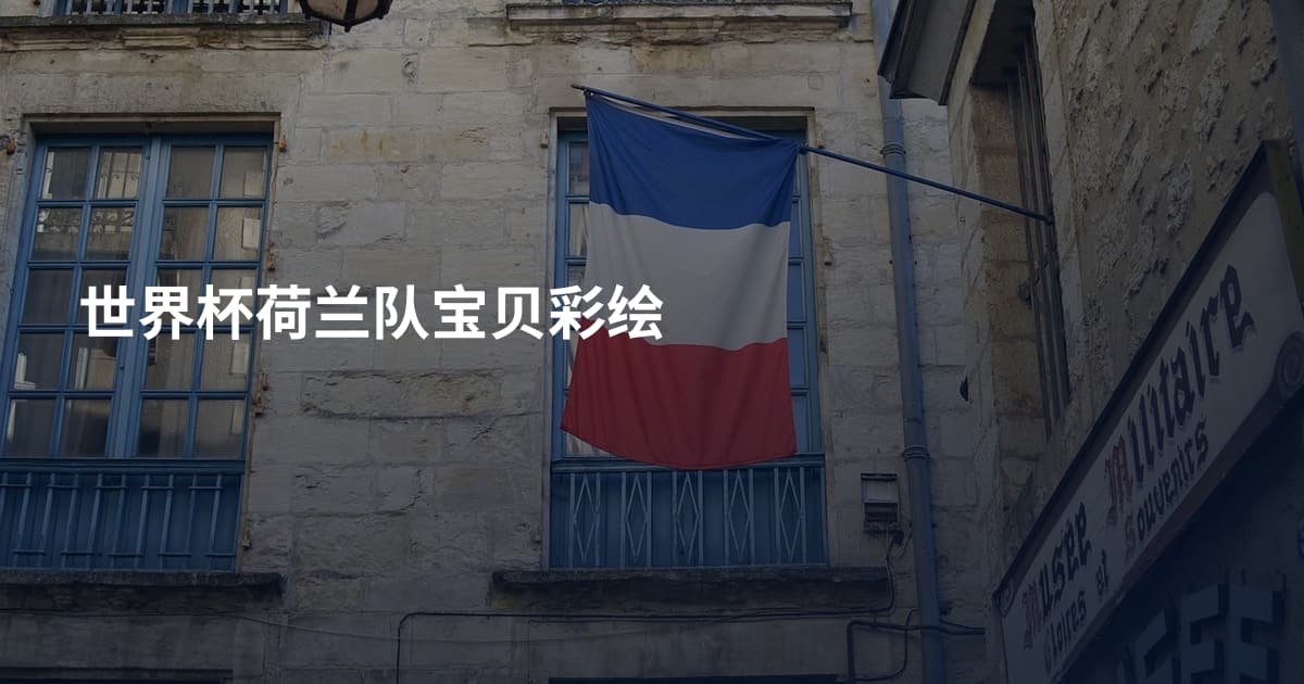 世界杯荷兰队宝贝彩绘