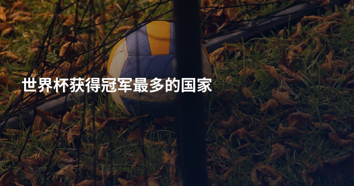 世界杯获得冠军最多的国家