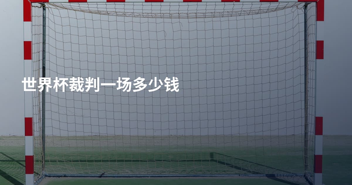 世界杯裁判一场多少钱