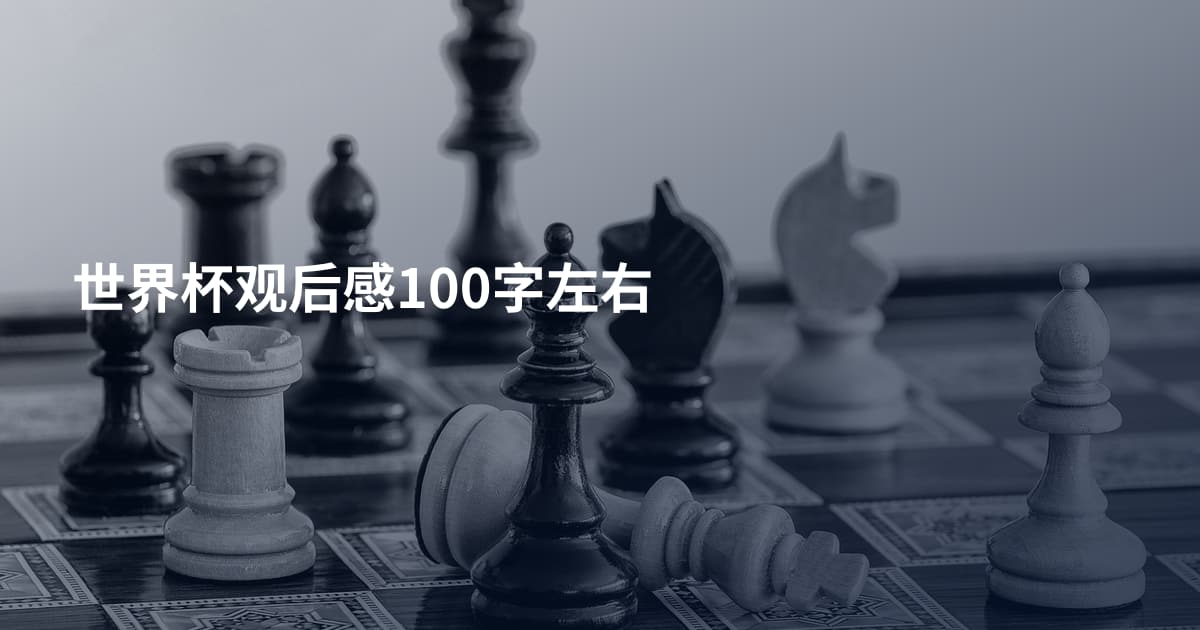 世界杯观后感100字左右