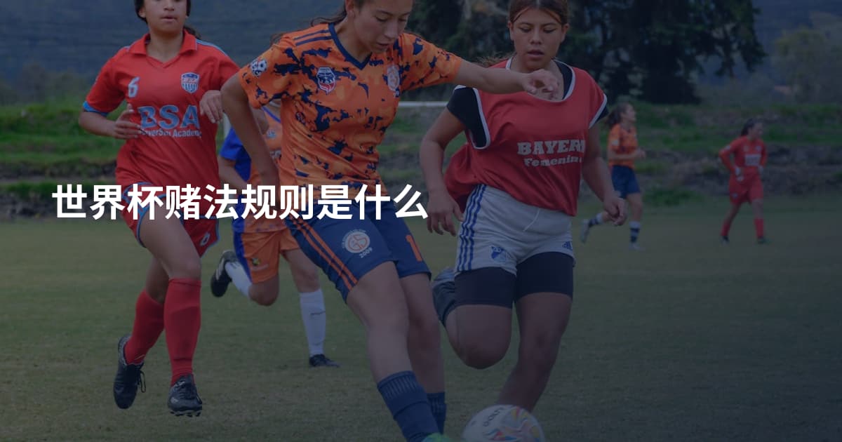 世界杯赌法规则是什么