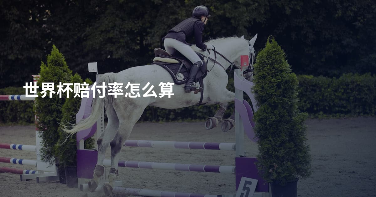 世界杯赔付率怎么算