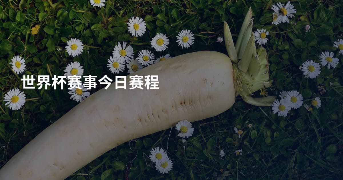世界杯赛事今日赛程