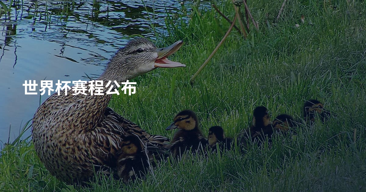 世界杯赛程公布